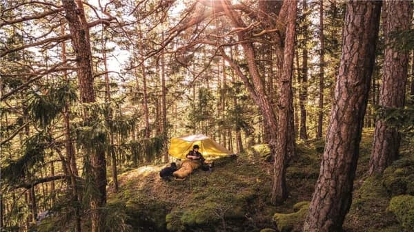 ROBENS WING TARP 280/240 x 320 cm, Tarp Rpbens