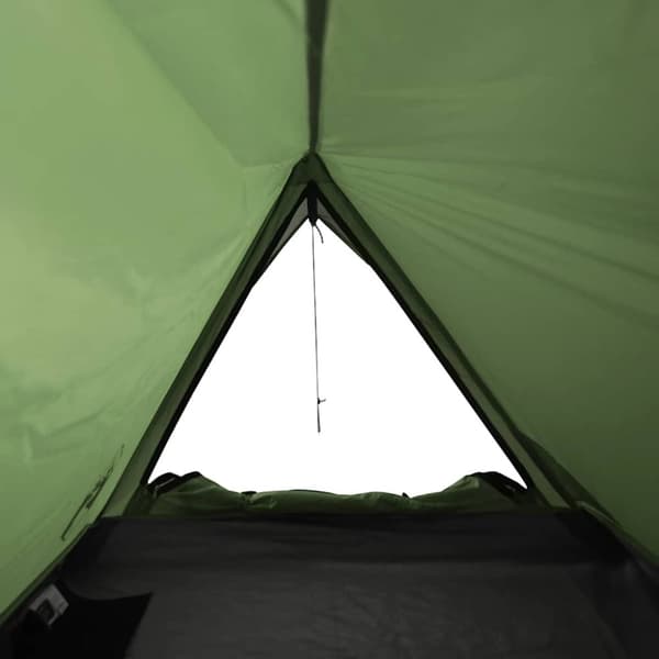 vidaXL Campingtelt 2 personer grønn vanntett