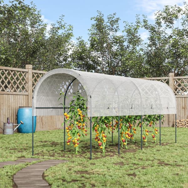 Rootz Plantebeskyttelse Baldakin - Tomatdrivhus - Havely - Buet tag - Stålramme - Kraftig presenning - 400cm x 120cm x 170cm