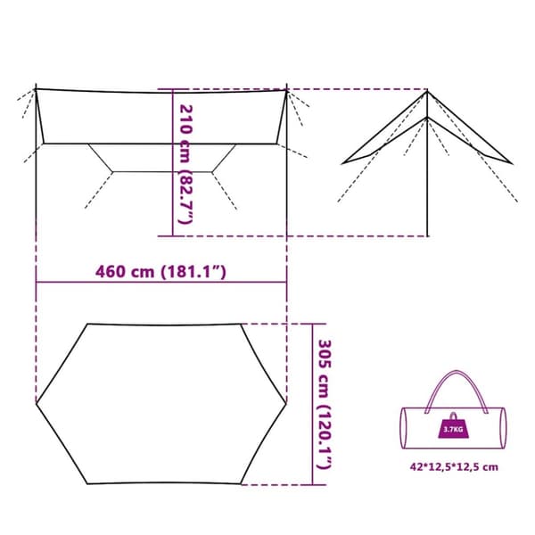 vidaXL Campingpresenning grønn 460x305x210 cm vanntett