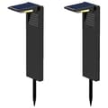 Miniatyrbild 1 av 4: Set med 2 solfyrar att plantera - LUMISKY - OSTRY - H41 cm - Kallvit LED