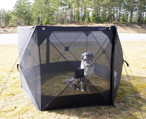 Wecamp læhegn Popup Screen 300x118 cm
