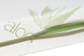 Miniatyrbild 10 av 11: FLORA ortopedisk madrass, 120x60x10