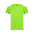 Miniatyrbillede 1 af 2: Stedman Active Raglan Mesh T-shirt til mænd