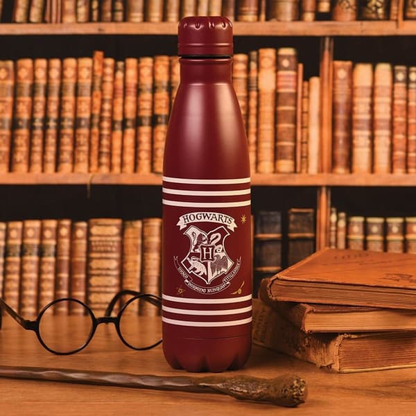 Harry Potter Vattenflaska i metall med kritor och ränder