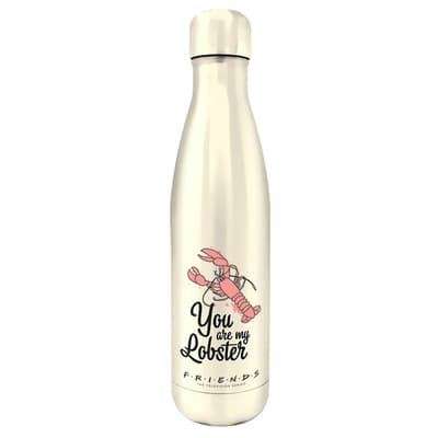 Friends You Are My Lobster Metal Thermal Flask