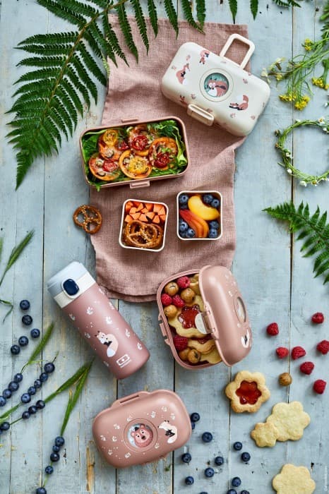 MB-Capsule lasten lounastermos, Graphic Fox