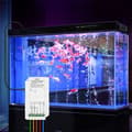 Miniatyrbild 3 av 6: Temperatur- och Fuktighetskontrollant - MOES - MS-103 - WiFi - Kompatibel med Alexa och Google Home
