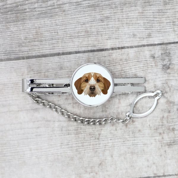 Breton Basset, Basset Fauve de Bretagne - geometrinen solmioklipsi, jossa on valokuva ja merkintä Art-Dog-solmioon