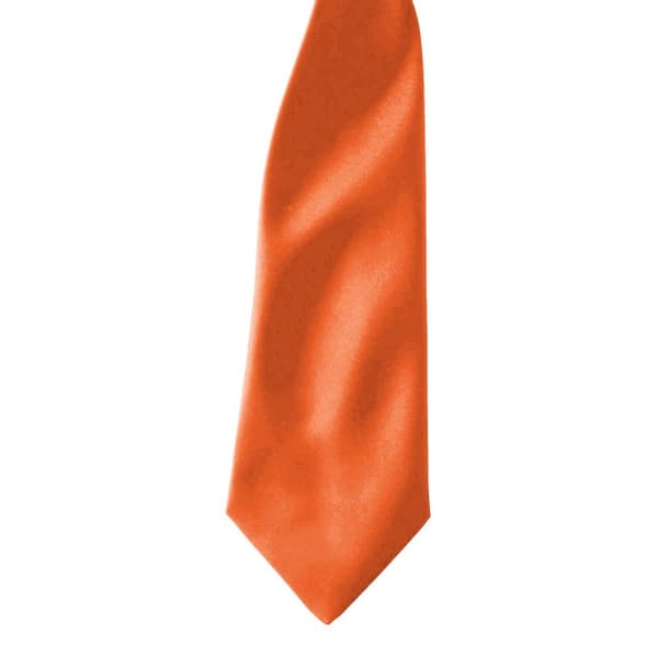 Premier Colours Mens Satin Clip Tie (Pack of 2)
