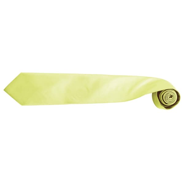 Premier Mens “Colours” Plain Fashion / Business Tie (Pack of 2)