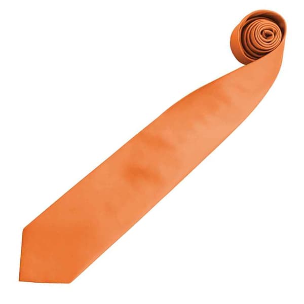 Premier Mens “Colours” Plain Fashion / Business Tie