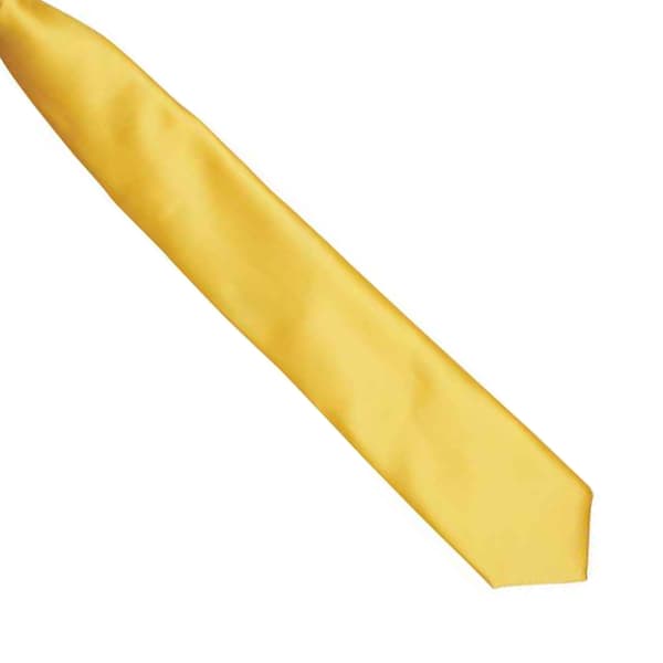 Premier Colours Mens Satin Clip Tie