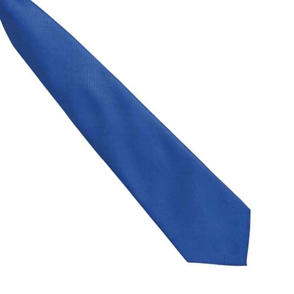 Premier Mens Fashion ”Colours” Work Clip On Tie