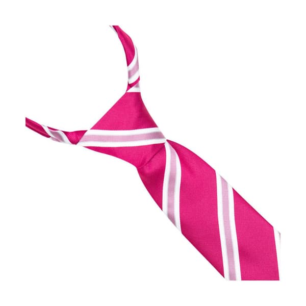 Supreme Products Unisex Adult Stripe Show Tie