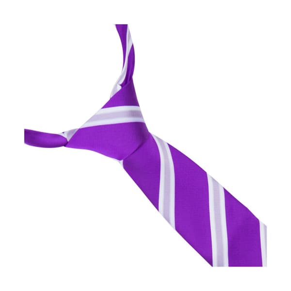Supreme Products Unisex Adult Stripe Show Tie