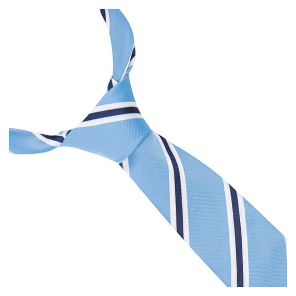 Supreme Products Childrens/Kids Striped Show Tie