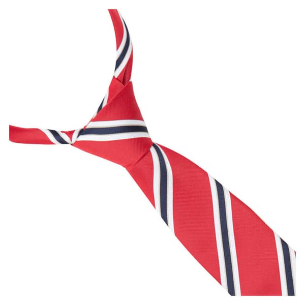 Supreme Products Childrens/Kids Striped Show Tie