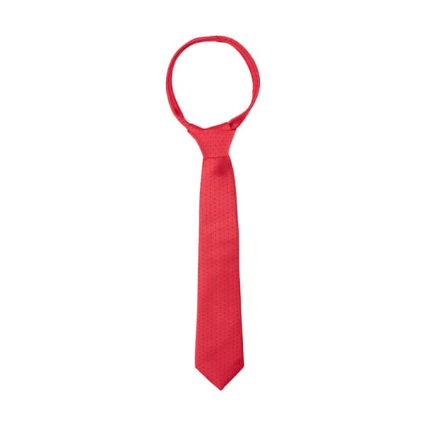 Supreme Products Childrens/Kids Spotted Show Tie Red/Navy One Size