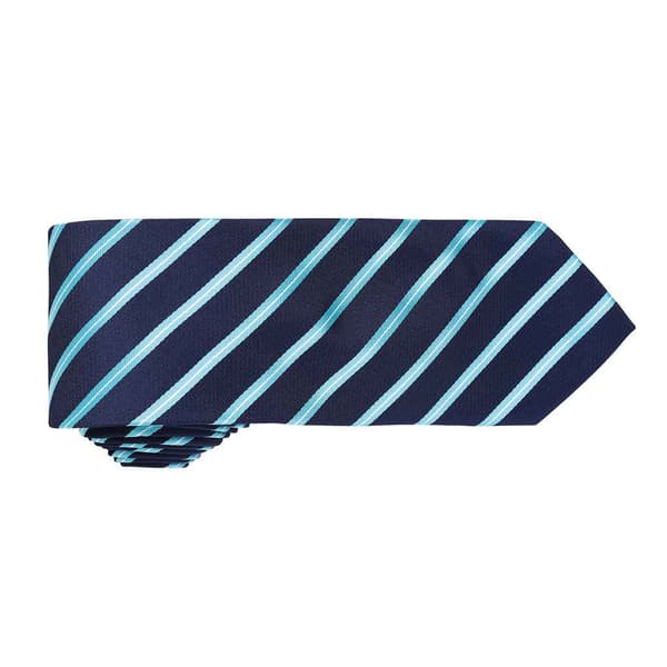 Premier Mens Stripe Tie