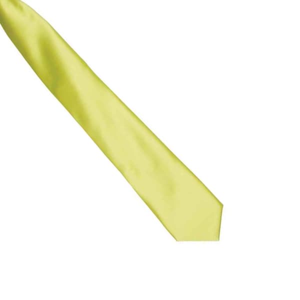 Premier Unisex Vuxen Satin Slips