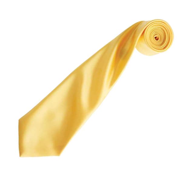 Premier Unisex Adult Colours Satin Tie