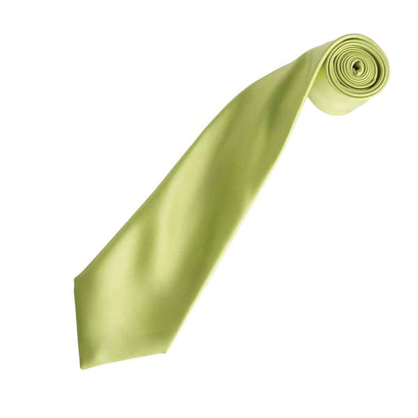 Premier Unisex Adult Colours Satin Tie