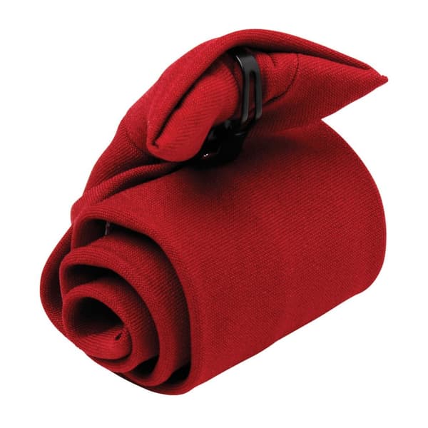 Premier Unisex Adult Clip-On Tie Burgundy One Size