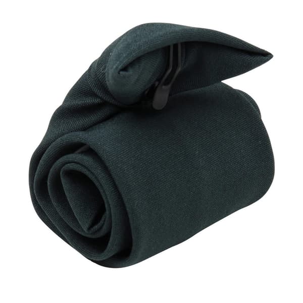 Premier Unisex Adult Clip-On Tie
