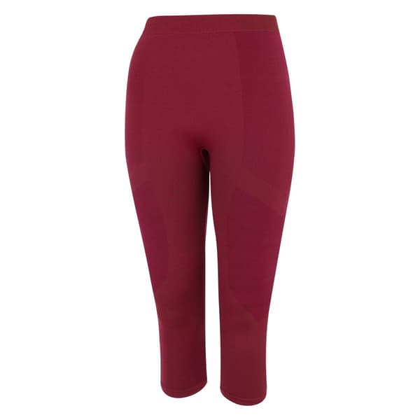 Dare 2B Womens/Ladies In The Zone II Panel 3/4 Leggings
