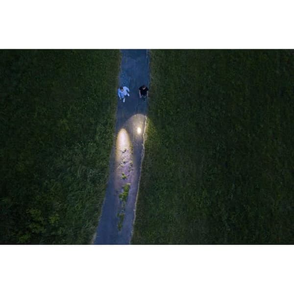 Ficklampa - BRENNENSTUHL - LuxPremium TL 600 AF - CREE LED - Justerbar fokus - Svart