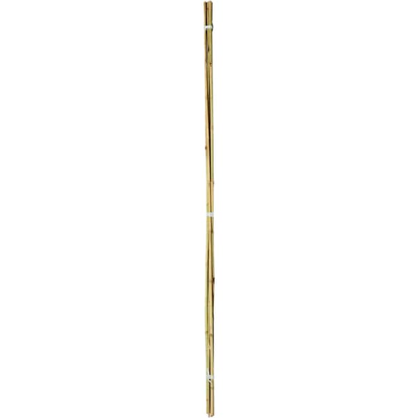 Ambassador Bamboo Plant Canes (Pack Of 20) Beige 91.4cm