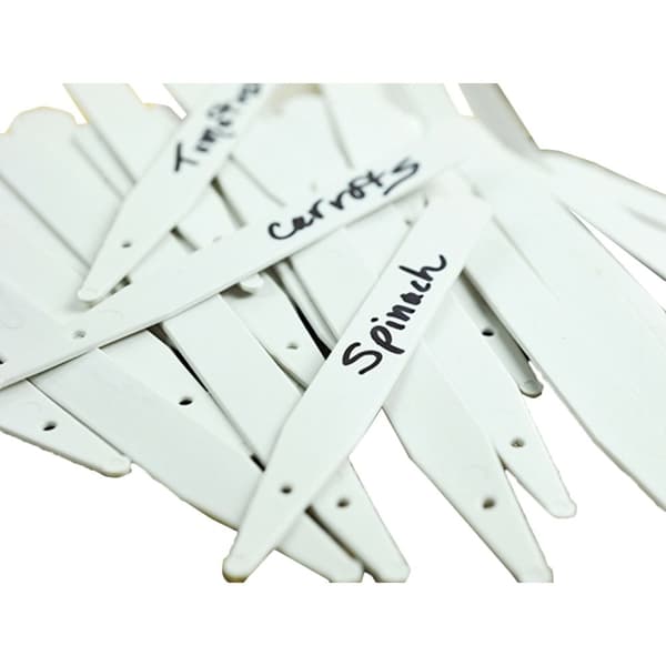 Ambassador Plant Labels (Pack of 100) White 10cm