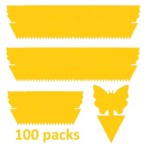 100-pack flug-fångare / Klisterfälla