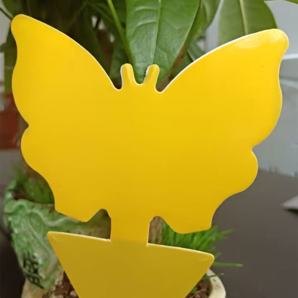 Fluefanger 100 stk