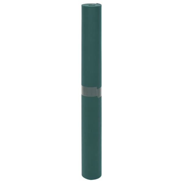 The Living Store Fiberduk 70 g/m² 10x1,6 m -  Tillbehör för trädgårdsskötsel