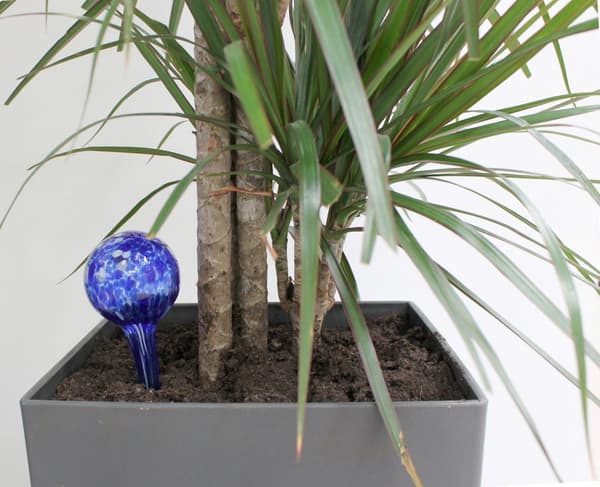 Genius Ideas Mini-Bulb kasvi vesiannostelija - 2 kpl sarja