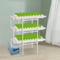 Miniatyrbillede 2 af 4: 3-lags hydroponisk system, 108 plantepladser, vandbesparende design, nem at samle