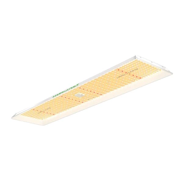 Led-kasvivalo, täyden spektrin, himmennettävä, TSL 2000