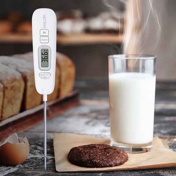 KÖKSTERMOMETER DIGITAL FÖR KÖTT FISKKAKA GRILL LCD