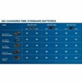 Miniatyrbillede 4 af 4: Oplader og genopladeligt batterisæt BOSCH 1600A019R8 12 V