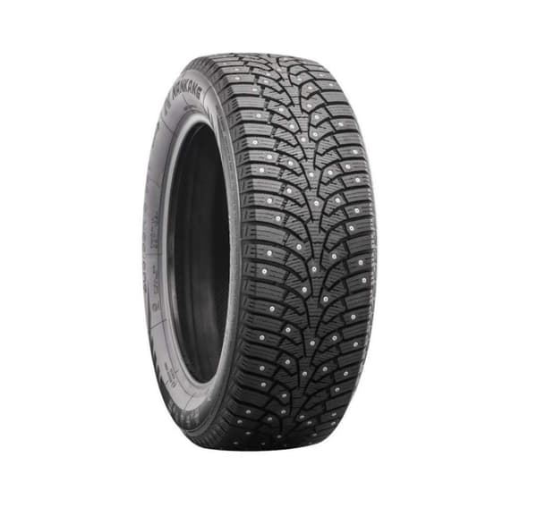 215/60R17 Nankang SW-9 nastarengas 100T XL