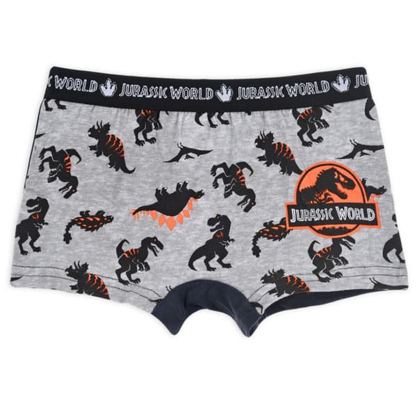 Jurassic World Kalsonger för Barn - 2-Pack