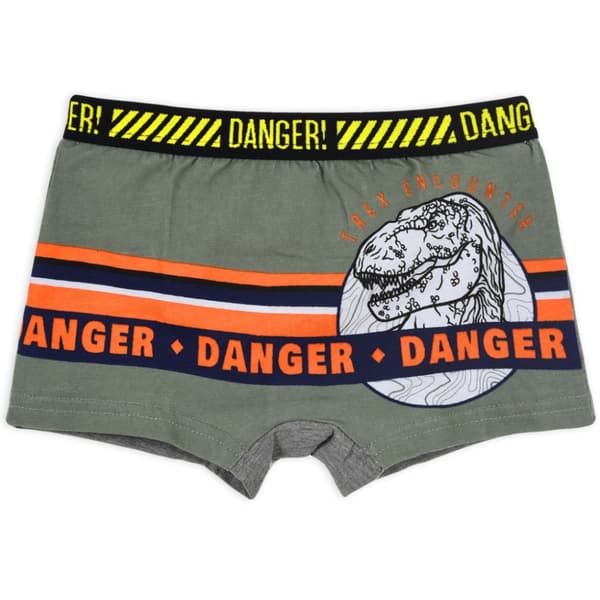 Jurassic World Kalsonger för Barn - 2-Pack