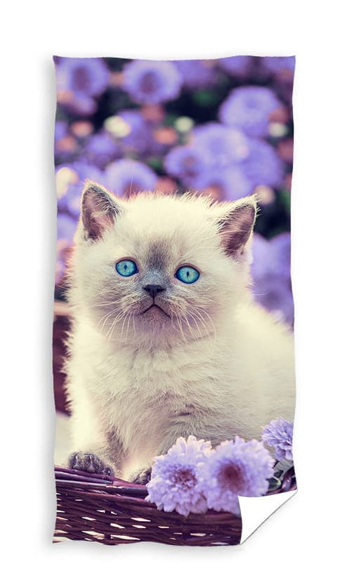 Rantapyyhe KISSA 70x140