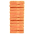 Miniatyrbild 1 av 2: Premium handdukar SOLUND 10 st orange 50x100 cm 600 gsm