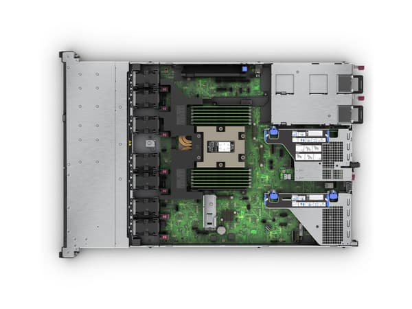 HPE ProLiant DL325 Gen11 - Server - rackmonterbar 1U - 1-veis - 1 x EPYC 9124 / inntil 3.7 GHz - RAM 64 GB - SATA/SAS/NVMe - hot-swap 2.5" brønn(er)