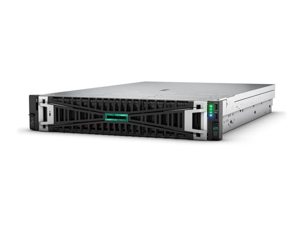 HPE ProLiant DL345 Gen11 - Server - kan monteras i rack 2U - 1-vägs - 1 x EPYC 9124 / upp till 3.7 GHz - RAM 64 GB - SATA/SAS - hot-swap 3.5" vik/vik Svart