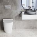 Pikkukuva 2 / 10: UPOTETTAVA WC-KEHYS + PAINIKEN F KROMI
