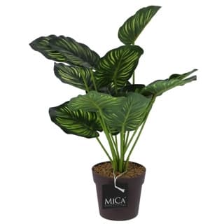 Glimmer Dekorationer Kunstig Plante Calathea I Pot Grøn 40 Cm